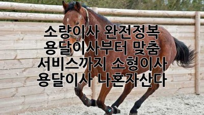 📦 소량이사 완전정복: 용달이사부터 맞춤 서비스까지! #소형이사 #용달이사 #나혼자산다