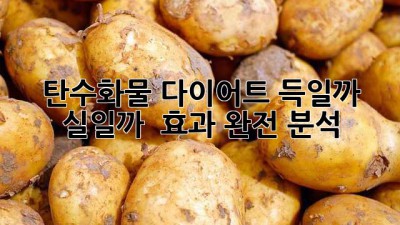 탄수화물 다이어트, 득일까 실일까? 🤔 효과 완전 분석! 💯